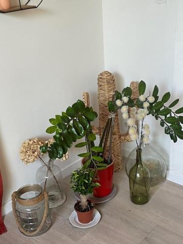 Studio A 15 Mn De Toulouse A Castelginest Buitenkant foto